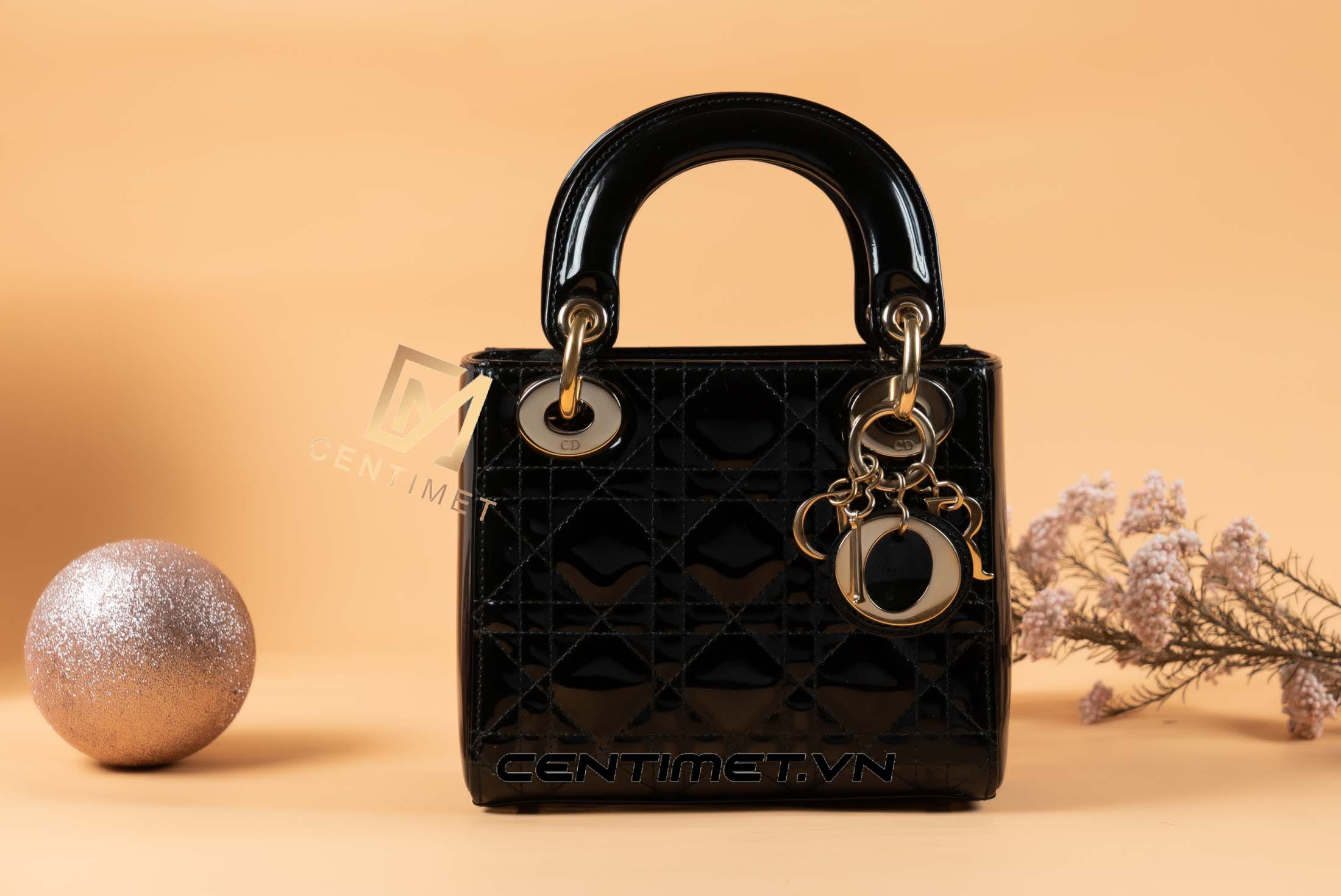 Túi Xách Lady Dior Mini Bag (Like New ) - Centimet.Vn