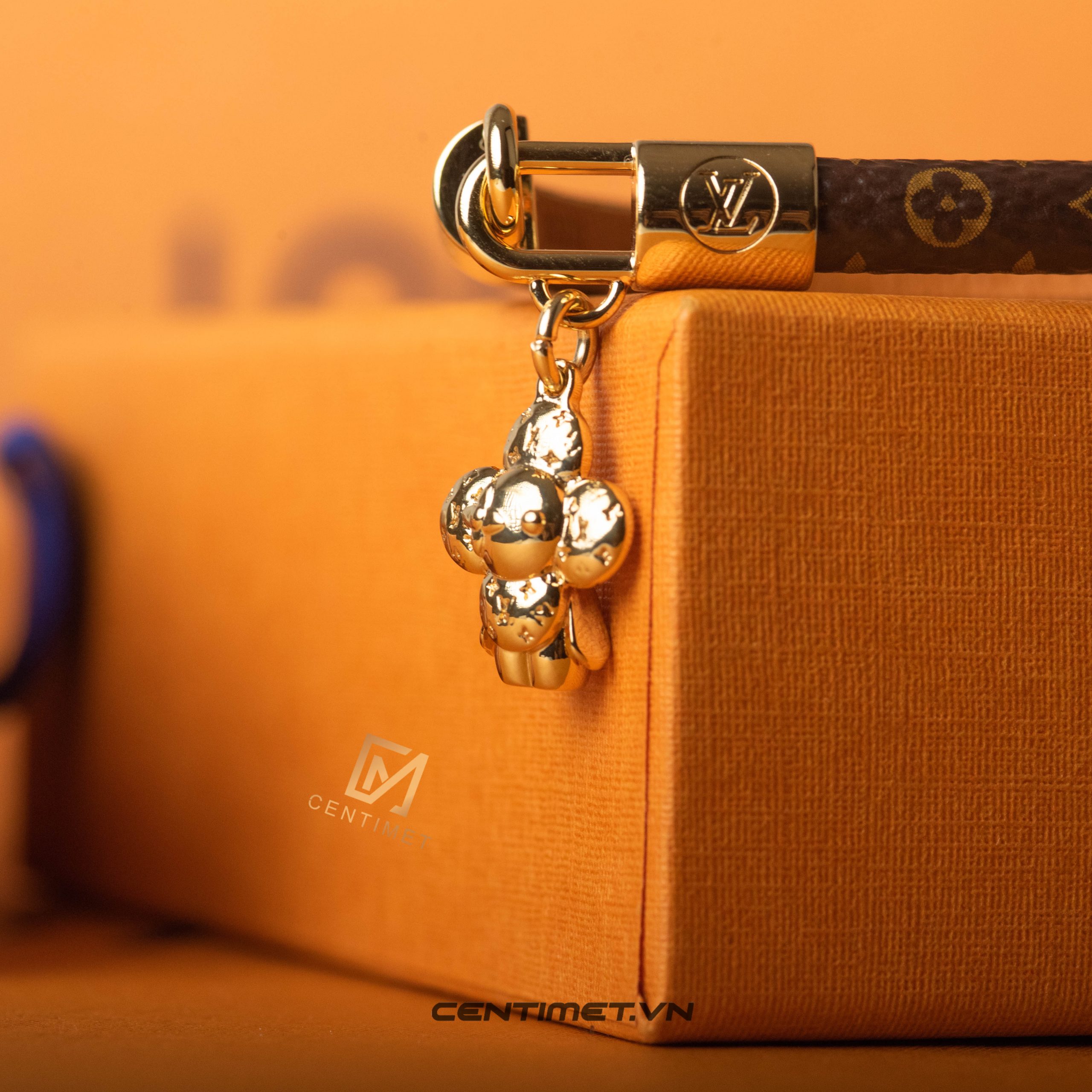 Louis Vuitton Louis VUITTON Brassel Vivienne 17 M6773 Bracelet