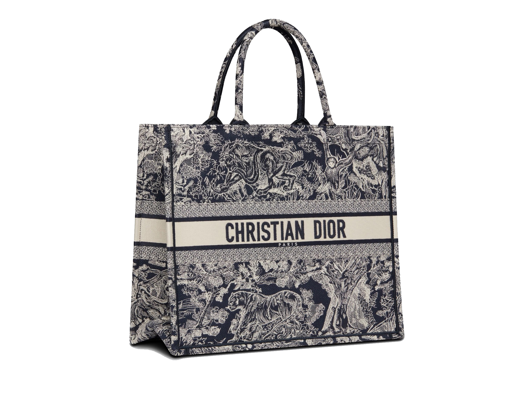 Vì sao Dior Book Tote thêu logo cá nhân làm chao đảo các tín đồ thời trang   RoseeOrder